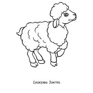 Desenho para colorir de ovelha caminhando contente