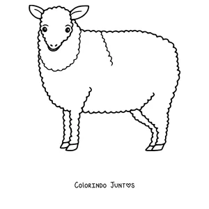 Desenho para colorir de ovelha lanosa de perfil