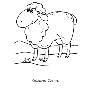 Desenho para colorir de ovelha parada na colina