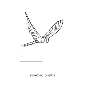 Desenho para colorir de uma arara-azul voando com as asas abertas