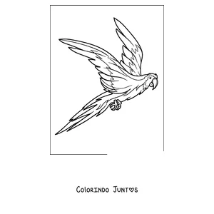 Desenho para colorir de um papagaio voando com as asas bem abertas