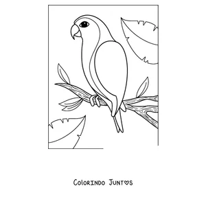 Desenho para colorir de um papagaio de contorno simples pousado