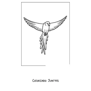 Desenho para colorir de um papagaio de contorno simples voando