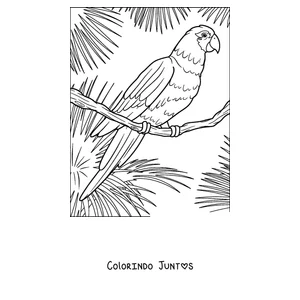 Desenho para colorir de um papagaio pousado entre folhas tropicais