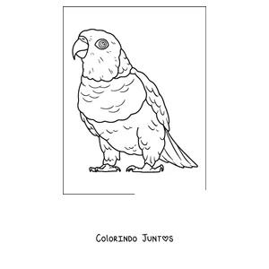 Desenho para colorir de um papagaio rechonchudo de corpo inteiro