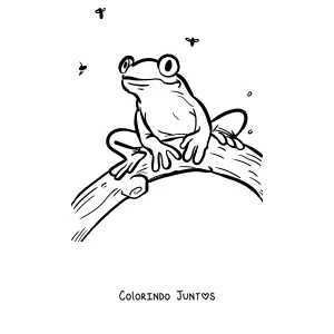 Desenho para colorir de uma perereca num galho cercada de insetos