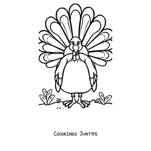 Desenho para colorir de um peru com a cauda de penas bem aberta
