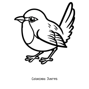 Desenho para colorir de um pisco-de-peito-ruivo fofo com o rabinho erguido