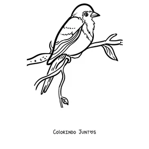 Desenho para colorir de um pisco-de-peito-ruivo pousado em um galho com folhas