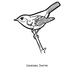 Desenho para colorir de um pisco-de-peito-ruivo na ponta de um graveto