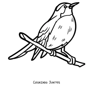 Desenho para colorir de um pisco-de-peito-ruivo pousado no galho