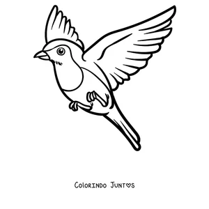 Desenho para colorir de um pisco-de-peito-ruivo voando de asas abertas