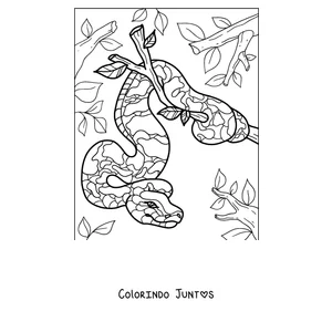 Desenho para colorir de uma píton pendurada numa árvore