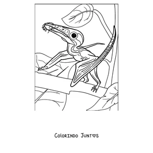 Desenho para colorir da cabeça de um pterodáctilo com a crista em primeiro plano