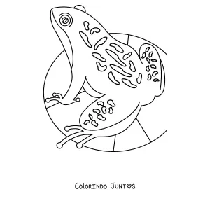 Desenho para colorir de um sapo com padrões de mandala numa folha aquática
