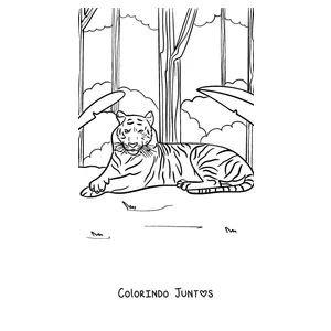 Desenho para colorir de um tigre descansando na selva